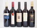 イタリアスペシャル赤ワイン5本セットミケランジェロ・ブルーサ・セグレート750ml×5本