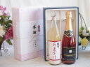 夏の贈り物お中元 感謝の贈り物ボックス ノンアルコール甘酒と国産ワインセット(塩尻コンコードスパークリングロゼワインやや甘口(長野県)720ml篠崎 国菊甘酒 ...
