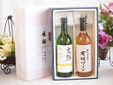 夏の贈り物お中元 感謝の贈り物ボックス 完熟ナイアガラ白ワインと酸化防止剤無添加ワインセット(酸化防止剤無添加 契約農場の有機白ワイン やや甘口(長野県)720...