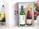 夏の贈り物お中元 感謝の贈り物ボックス 完熟ナイアガラ白ワインと国産ワインセット(信州巨峰スパークリングワイン やや甘口(長野県)500ml完熟無添加信州産ナイ...