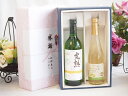 夏の贈り物お中元 感謝の贈り物ボックス 完熟ナイアガラ白ワインと国産ワインセット(信州シャインマスカット&ナイアガラ スパークリングワインやや甘口(長野県)50...