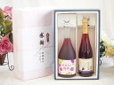 夏の贈り物お中元 感謝の贈り物ボックス 鍛高譚の梅酒と国産ワインセット(信州巨峰スパークリングワイン やや甘口(長野県)500ml鍛高譚梅酒720ml