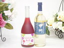【最大2000円オフクーポン26日1:59迄】鍛高譚の梅酒と国産ワインセット(山梨県産葡萄100%使用 甲州 辛口白ワイン 辛口(山梨県)720ml鍛高譚梅酒720ml(4)