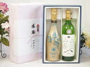 夏の贈り物お中元 感謝の贈り物ボックス 辛口スプマンテスパークリングワインと国産ワインセット(山梨 甲州 白ワイン やわらかな辛口(山梨県)750mlフィリペッ...