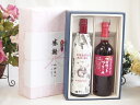 夏の贈り物お中元 感謝の贈り物ボックス イタリア黒葡萄品種赤ワインと国産ワインセット(山梨県産葡萄100%使用 マスカットベーリーA赤ワイン ライトボディ(山梨...