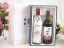 夏の贈り物お中元 感謝の贈り物ボックス イタリア黒葡萄品種赤ワインと国産ワインセット(実りの収穫 赤ワイン やや甘口(山梨県)720mlフィリペッティ ゴールド...