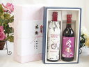 夏の贈り物お中元 感謝の贈り物ボックス イタリア黒葡萄品種赤ワインと国産ワインセット(おたる醸造 キャンベルアーリ赤ワイン 辛口(北海道)720mlフィリペッテ...