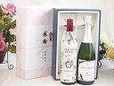 夏の贈り物お中元 感謝の贈り物ボックス イタリア黒葡萄品種赤ワインと国産ワインセット(MdV オアシス3 白スパークリングワイン辛口(長野県)750mlフィリペ...