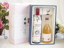 夏の贈り物お中元 感謝の贈り物ボックス イタリア黒葡萄品種赤ワインと国産ワインセット(信州のりんごを使ったワインです甘口(長野県)500mlフィリペッティ ゴー...