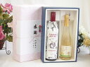 夏の贈り物お中元 感謝の贈り物ボックス イタリア黒葡萄品種赤ワインと国産ワインセット(信州シャインマスカット&ナイアガラ スパークリングワインやや甘口(長野県)...