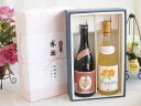夏の贈り物お中元 感謝の贈り物ボックスプレミアムな芋焼酎と国産ワインセット (北海道の詩 完熟ナイヤガラ白ワイン 甘口(北海道)720ml大分井上酒造夢のひとと...