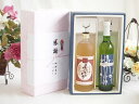 【最大2000円オフクーポン11日1:59迄】実りの秋の贈り物 感謝の贈り物ボックス プレミアムな麦焼酎と国産ワインセット(京都青谷 梅わいんワインやや甘口(京都府)500ml夢のひととき熟成麦焼酎25°(大分県)720ml