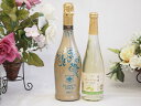 辛口スプマンテスパークリングワインと国産ワインセット(信州シャインマスカット&ナイアガラ スパークリングワインやや甘口(長野県)500mlフィリペッティ ゴール...