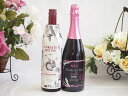 イタリア黒葡萄品種赤ワインと国産ワインセット(MdV オアシス ブラッククイーンピンクロゼスパークリングワイン辛口(長野県)750mlフィリペッティ ゴールド ...
