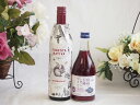 イタリア黒葡萄品種赤ワインと国産ワインセット(信州の巨峰を使ったワインです甘口(長野県)500mlフィリペッティ ゴールド ブリュット (イタリア) 750ml