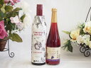 イタリア黒葡萄品種赤ワインと国産ワインセット(信州巨峰スパークリングワイン やや甘口(長野県)500mlフィリペッティ ゴールド ブリュット (イタリア) 75...