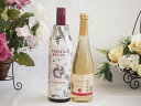 イタリア黒葡萄品種赤ワインと国産ワインセット(信州りんごシードルワインやや甘口(長野県)500mlフィリペッティ ゴールド ブリュット (イタリア) 750ml