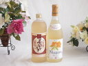 プレミアムな熟成麦焼酎と国産ワインセット夢のひととき熟成麦焼酎25°(大分県)720ml北海道の詩 完熟ナイヤガラ白ワイン 甘口(北海道)720ml(4)