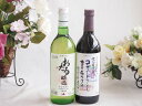 おたる生葡萄100%ナイアガラワインと国産ワイン2本セット(おたる醸造ナイアガラ白ワイン720ml酸化防止剤無添加 信州コンコード赤ワイン 甘口(長野県)720...