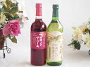 山梨県産葡萄マスカットベーリーA種使用ワインと国産ワイン2本セット(国産葡萄100%使用 おいしい日本ワイン 白ワイン やや辛口(山梨県)720mlマスカットベ...