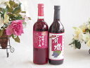 山梨県産葡萄マスカットベーリーA種使用ワインと国産ワイン2本セット(酸化防止剤無添加 有機あずさ赤ワイン 中口(長野県)720mlマスカットベーリーA赤ワイン7...