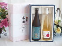 夏の贈り物お中元 感謝の贈り物ボックス プレミアムな日本酒立山と国産ワインセット(青森弘前産りんご使用 シードルワインやや甘口(京都府)500ml立山特別本醸造(富山県)720ml
