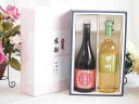 夏の贈り物お中元 感謝の贈り物ボックス 香る南高梅酒 紅南高と国産ワインセット(山梨県産葡萄100%使用 甲州白ワイン やや辛口(山梨県)720ml紅南高 紀州梅酒(和歌山県)720ml