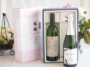 感謝の贈り物ボックス 国産甲州種辛口白ワインと国産ワインセット(MdV オアシス3 白スパークリングワイン辛口(長野県)750mlシャンモリ 山梨限定醸造白750ml(笛吹市石和町山下農園産甲州)