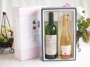 感謝の贈り物ボックス 国産甲州種辛口白ワインと国産ワインセット(信州シャインマスカット&ナイアガラ スパークリングワインやや甘口(長野県)500mlシャンモリ 山梨限定醸造白750ml(笛吹市石和町山下農園産甲州)