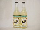 レモン酎ハイの素 富士白 25度 中野BC 和歌山県 600ml 2