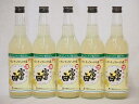 レモン酎ハイの素 富士白 25度 中野BC(和歌山県)600ml×5
