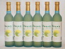 ワイナリーがつくった梅酒です 甲州小梅(山梨県)500ml×6