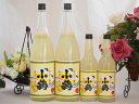すっぱドライ サワー専用 ゆずレモン大小4本セット 25度 小鶴醸造(鹿児島県)1800ml×2 600ml×2