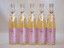 モンドセレクション金賞受賞蔵 天空の月 樽熟梅酒 老松酒造(大分県)500ml×5