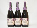 蒼龍葡萄酒 スパークリングワイン マディルージュ 赤中口 (山梨県)750ml×3(4)