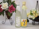 柚子リキュール2本セット 柚子小町 柚子っこ 500ml×2