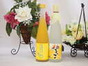 柚子リキュール2本セット ゆず梅酒 柚子っこ 500ml×2