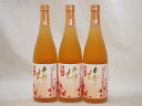 3本セット 高千穂酒造 本格焼酎に漬け込んだ濃厚梅酒 熟成梅酒(宮崎県) 720ml×3本