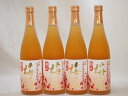 4本セット 高千穂酒造 本格焼酎に漬け込んだ濃厚梅酒 熟成梅酒(宮崎県) 720ml×4本
