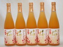 5本セット 高千穂酒造 本格焼酎に漬け込んだ濃厚梅酒 熟成梅酒(宮崎県) 720ml×5本