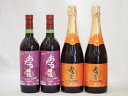 北海道おたるスペシャルワイン4本セット(やや甘口赤 辛口赤)720ml×4本