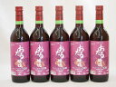 【最大2000円オフクーポン27日1:59迄】生葡萄酒 日本産葡萄100%使用 おたる醸造 キャンベルアーリ辛口赤ワイン(北海道)720ml×5