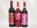 日本産葡萄100%使用3本セット おたる醸造(北海道) マスカットベリーA(山梨県)720ml×3