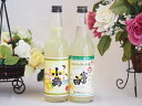 飲み比べチューハイの素セット 660ml×2本