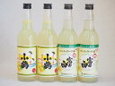 飲み比べチューハイの素セット 660ml×4本