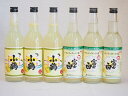 飲み比べチューハイの素セット 660ml×6本