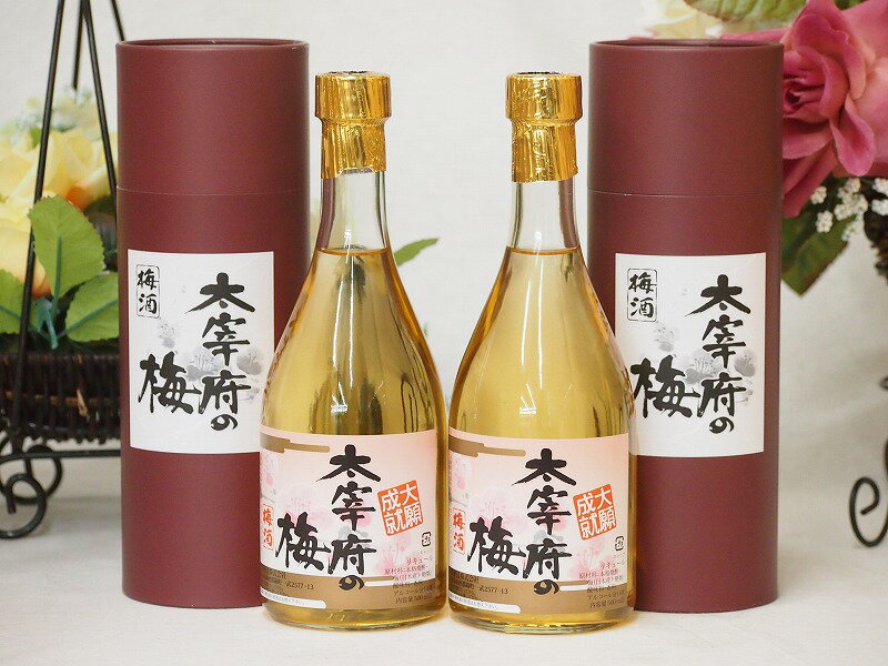 常楽酒造 大宰府の梅 梅酒 大願成就(熊本県) 500ml×2本