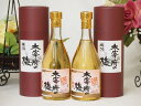 常楽酒造 大宰府の梅 梅酒 大願成就(熊本県) 500ml×2本