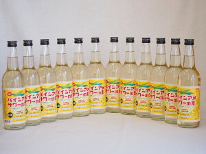 パインアメサワーの素 甘酸っぱくジューシーパイナップル果汁 25度 中野BC(和歌山県)600ml×12