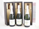 3本セット(贈り物ギフトセット 山梨県産シャインマスカット100 スパークリング10度やや甘口) 750ml×3本